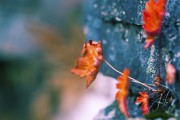 世界登山纪录挑战资格赛：选手体能与救援技能双测验，登山赛最高分是多少