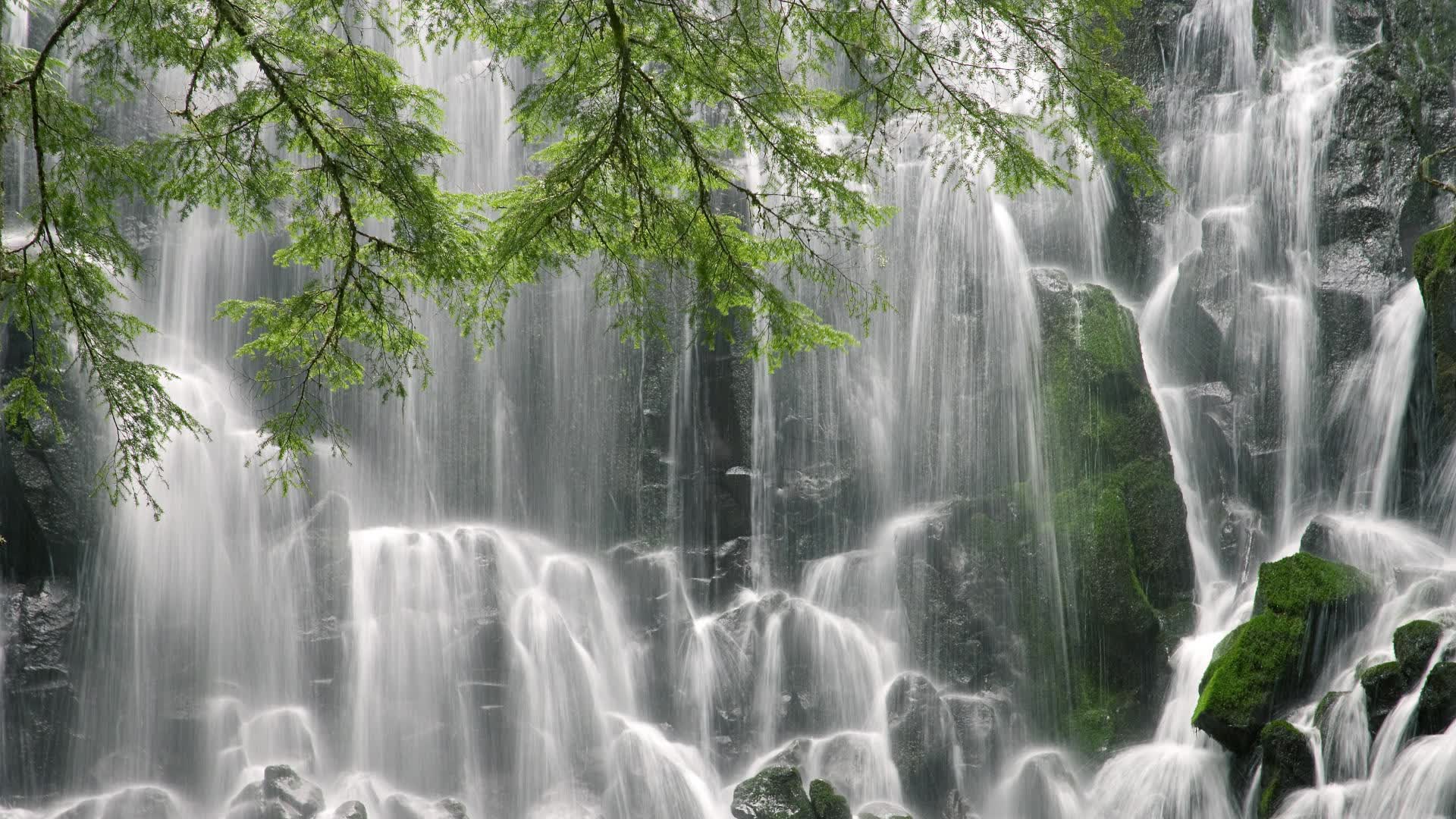 世界保龄球青年联赛线上教学平台增设互动测评，世界保龄球冠军是谁